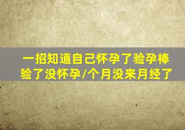 一招知道自己怀孕了验孕棒验了没怀孕\个月没来月经了